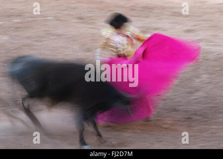 Ein MATADOR und Stier sind Poesie in Bewegung bei einem Stierkampf in der Plaza de Toros - SAN MIGUEL DE ALLENDE, Mexiko Stockfoto