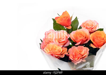 Rosenstrauß orange verpackt in Cellophan auf weißem Hintergrund. Stockfoto