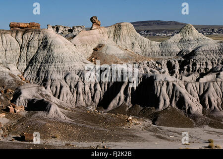 Versteinerte Log im PETRIFIED FOREST NATIONAL PARK - ARIZONA Stockfoto