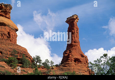 Phallische Red Rock-Turm in BOYNTON CANYON - SEDONA, ARIZONA Stockfoto