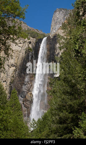 BRIDALVEIL fällt aus dem YOSEMITE VALLEY - YOSEMITE Nationalpark, Kalifornien Stockfoto