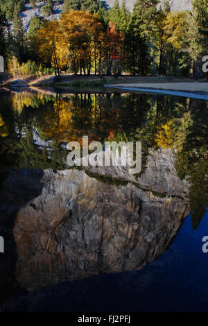 EL CAPITAN spiegelt sich in den MERCED RIVER im YOSEMITE VALLEY im Herbst - YOSEMITE Nationalpark, California Stockfoto
