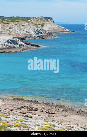 Mittelmeer, Mallorca, Balearen, Spanien: Blick auf Torre des Matzoc, der alte Wachturm auf Morro d'Albarca, an der nördlichen Küste Stockfoto