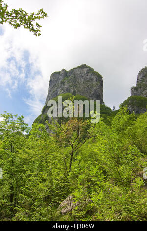 Procinto Kalkstein Turmberg in den Apuanischen Alpen, umgeben von Wäldern an einem Sommertag Stockfoto