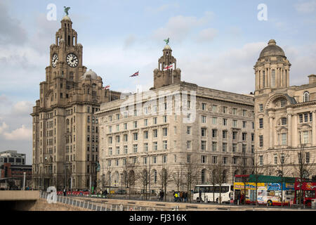 Das Royal Liver Building in Liverpool, England, mit der Cunard Gebäude neben. Stockfoto