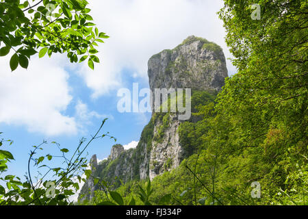 Procinto Kalkstein Turmberg in den Apuanischen Alpen, umgeben von Wäldern an einem Sommertag Stockfoto