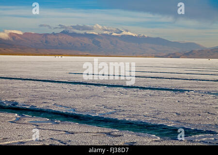 Salinas Grandes, Puna Wüste, Argentinien Stockfoto