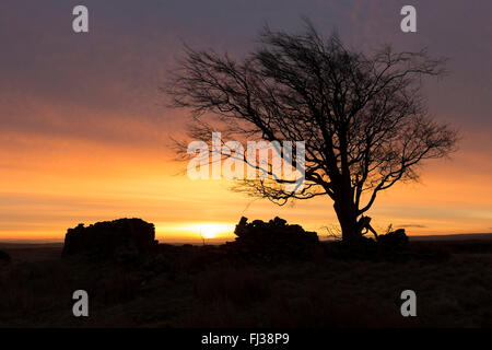 Loups Hill, Teesdale, County Durham UK. 29. Februar 2016. Großbritannien Wetter. Roter Himmel morgens Hirten Warnung, ein altes Land sagt in Bezug auf Wetter Lore.  Diese atmosphärische rote Himmel wurde von Loups Hügel in den North Pennines Vormittag angesehen. Die Prognose ist für die Cloud zu erhöhen im Laufe Tages mit starkem Regen und starkem Wind über Nacht einziehen. Bildnachweis: David Forster/Alamy Live-Nachrichten Stockfoto