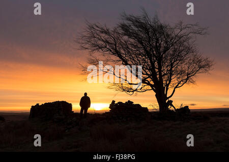 Loups Hill, Teesdale, County Durham UK. 29. Februar 2016. Großbritannien Wetter. Roter Himmel morgens Hirten Warnung, ein altes Land sagt in Bezug auf Wetter Lore.  Diese atmosphärische rote Himmel wurde von Loups Hügel in den North Pennines Vormittag angesehen. Die Prognose ist für die Cloud zu erhöhen im Laufe Tages mit starkem Regen und starkem Wind über Nacht einziehen. Bildnachweis: David Forster/Alamy Live-Nachrichten Stockfoto