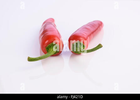 Zwei frische ganze Red Hot Chili auf weißem Hintergrund Stockfoto