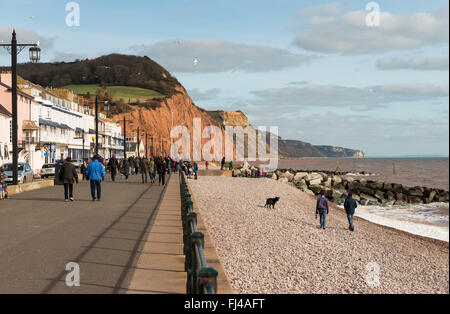 Blick auf Sidmouth Küste und Stadt mit Menschen zu Fuß am Strand mit Felsen im Hintergrund. Stockfoto