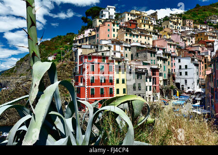 Panoramablick von Riomaggiore, eines der fünf berühmten Fischer Dörfer der Cinque Terre. La Spezia, Nationalpark Cinque Terre, Stockfoto