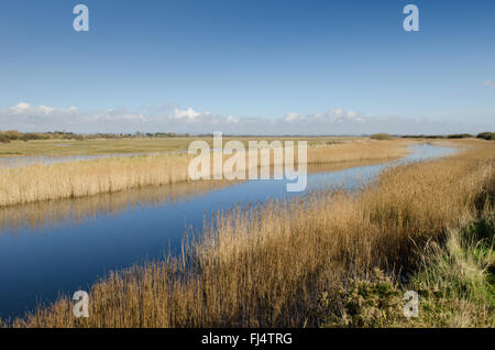 Pagham Hafen, in der Nähe von Chichester, Sussex, UK. Februar. Osten, zwischen Siddlesham und Kirche Norton anzeigen Stockfoto