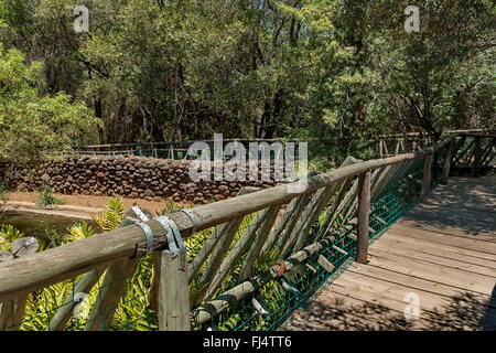 Eingang zu Fuß mit Zaun in Kwena Gärten in Sun City, Südafrika Stockfoto