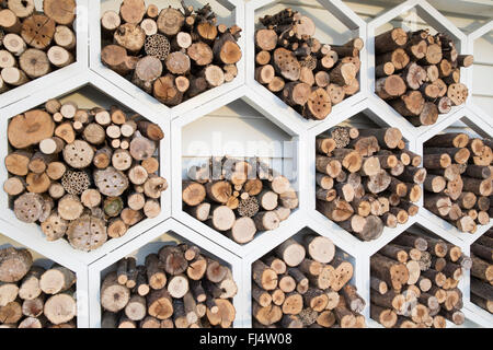 Wildtierfreundlicher Garten für Bestäuber sechseckiges Holzlager für einsame Bienen Insekten Insekten Insekten Insekten Motel Hotel UK Stockfoto