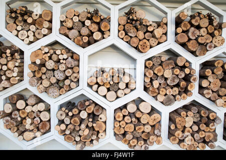 Sechseckige Holzstruktur gefüllt mit Baumstämmen und Holz für einsame Bienen Bienen Insekten Insekten Insekten Insekten Insekten Insekten Hotel Motel Wildlife Friendly Garden UK Stockfoto