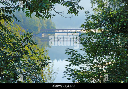 Nagold Damm, Deutschland, Baden-Württemberg, Schwarzwald, Freudenstadt Stockfoto