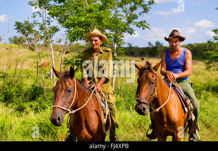 inländische Pferd (Equus Przewalskii F. Caballus), zwei ältere kubanischen Cowboys auf ihren Pferden, front Ansicht, Kuba, Cienfuegos Stockfoto