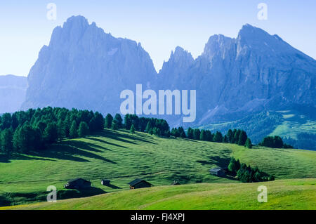 Blick vom Seiser Alm Plattkofels und Langkofel-Gruppe, Italien, Südtirol, Dolomiten Stockfoto