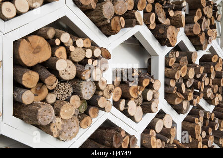 Wildtierfreundlicher Garten für Bestäuber sechseckiges Holzlager für einsame Bienen Insekten Insekten Insekten Insekten Motel Hotel UK Stockfoto