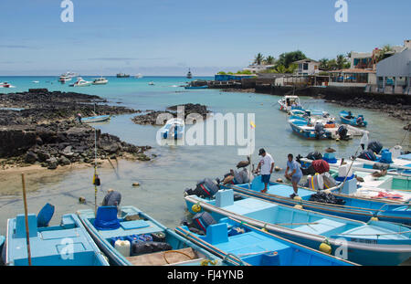 Hafen von Santa Cruz mit Booten, Ecuador, Galapagos-Inseln, Santa Cruz Stockfoto