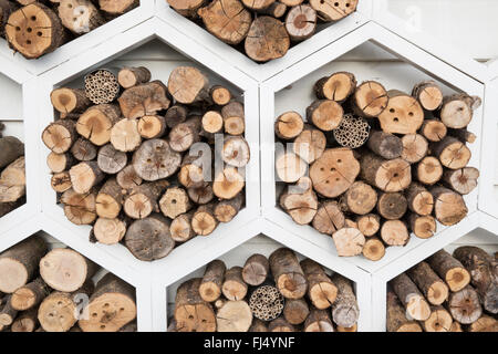 Wildtierfreundlicher Garten für Bestäuber sechseckiges Holzlager für einsame Bienen Insekten Insekten Insekten Insekten Motel Hotel UK Stockfoto