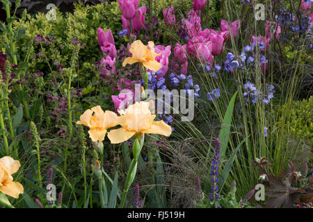 RHS Malvern Frühlingsfest 2015 entworfen einschränkende Natur von Kate Durr Garten Design Best Festival Garden Award und gold Stockfoto