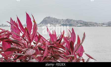 Fluss Guayas und Hill Blick von der Promenade von Puerto Santa Ana in Guayaquil, Ecuador Stockfoto