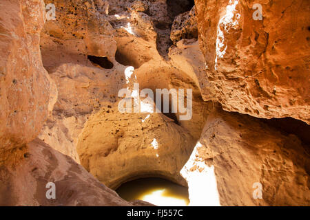 Wasserstelle am Ende des Tsauchab ephemere Fluss in Sesriem Canyon, Namibia, Namib-Naukluft-Nationalpark, Sesriem Stockfoto