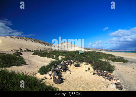 Sotavento Strand, Playa de Sotavento, Kanarischen Inseln, Fuerteventura Stockfoto