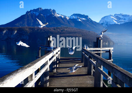 Boardwalk am Lac d ' Annecy in Frankreich, Savoie, Haute Savoie, Saint-Jorioz Morgen Stockfoto