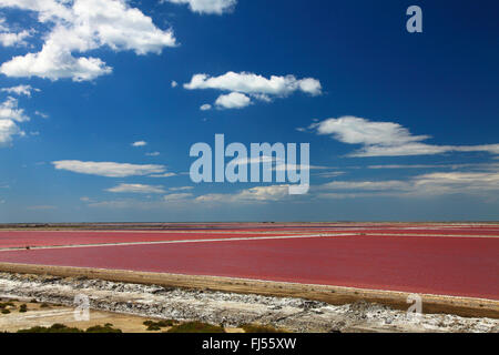 Mikroorganismen ändern die Farbe Rot der Salinen Teiche mit einer Kochsalzlösung in der Nähe von Salin de Giraud, Camargue, Frankreich Stockfoto