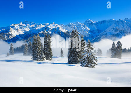 Schockiert Kaerpf in den Walliser Alpen, Schweiz Stockfoto