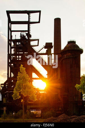 geschlossene Hochofen Phoenix West mit neu gepflanzten Bäume im Bezirk Hoerde bei Sonnenuntergang, Dortmund, Ruhrgebiet, Nordrhein-Westfalen, Deutschland Stockfoto