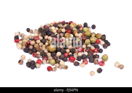 schwarzer Pfeffer (Piper Nigrum), Pfeffer-Mix mit schwarzem Pfeffer, grünem Pfeffer, weißem Pfeffer und Paprika Stockfoto