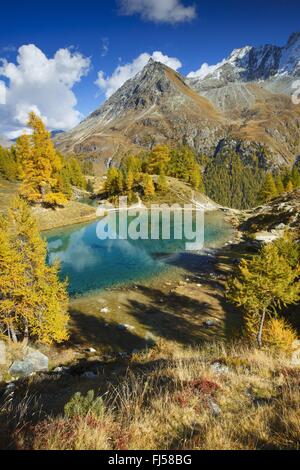 Lac Bleu, Grande Dent de Veisivi, Dent de Perroc, Aiguille De La Tsa, Schweiz, Wallis Stockfoto