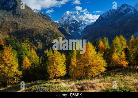 Mt. Collon - 3637 m, Arolla-Tal, Schweiz, Wallis Stockfoto