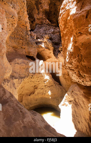 Wasserstelle am Ende des Tsauchab ephemere Fluss in Sesriem Canyon, Namibia, Namib-Naukluft-Nationalpark, Sesriem Stockfoto