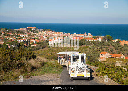 Der Touristenzug von Collioure Südfrankreich den Hang hinauf klettern. Stockfoto