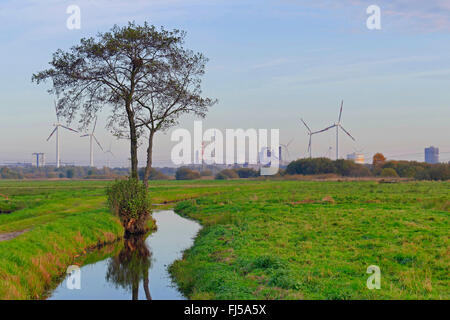 Naturschutzgebiet Werderland, mit Stahlwerk Arcelor im Hintergrund, Deutschland, Bremen-Lesum Stockfoto