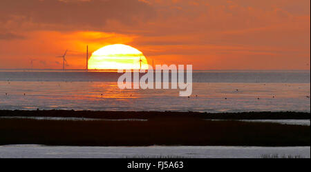 Wattenmeer in der Nähe von Spieka Neufeld bei Sonnenuntergang, Deutschland, Niedersachsen, Spieka Neufeld Stockfoto