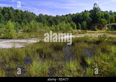 Teich in geschlossenen Steinbruch, Deutschland, Niedersachsen, Obernkirchen Obernkirchener Sandsteinbrueche Stockfoto