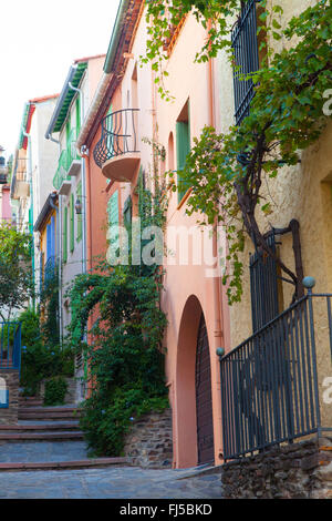 Eine bunte Straße in der historischen Stadt von Collioure Südfrankreich. Stockfoto