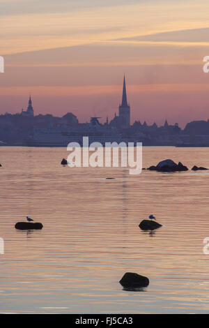 Blick auf Tallinn Bucht und alten Stadt Türme von Pirita, Tallinn, Estland Stockfoto