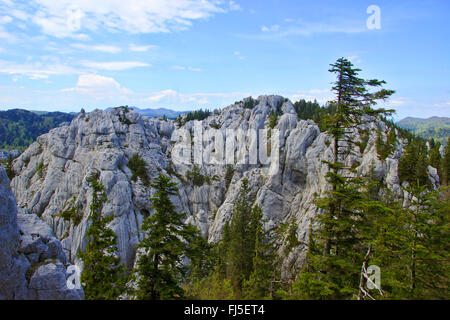 Kalkstein Pflaster aus Bijele und Samarske Stijene, Kroatien, Bijele Und Samarske stijene Stockfoto