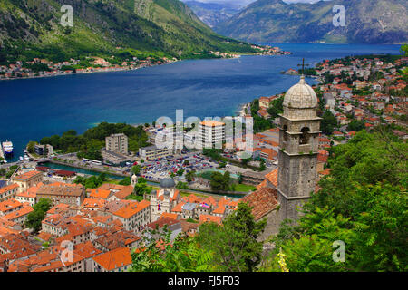 Blick von der Festung auf die Altstadt und die Bucht von Kotor, Montenegro, Kotor Stockfoto