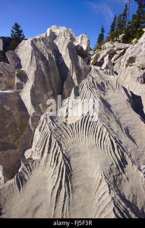 Karren im Karst-Landschaft, Kroatien, der Nationalpark Nördlicher Velebit Stockfoto