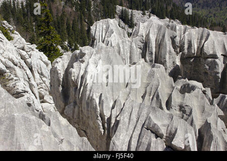 Karren im Karst-Landschaft, Kroatien, der Nationalpark Nördlicher Velebit Stockfoto