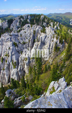 Kalkstein Pflaster aus Bijele und Samarske Stijene, Kroatien Stockfoto