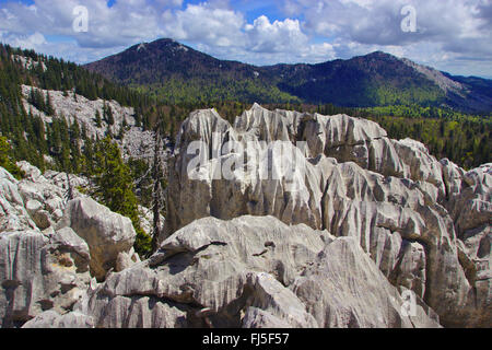 Karren im Karst-Landschaft, Kroatien, der Nationalpark Nördlicher Velebit Stockfoto